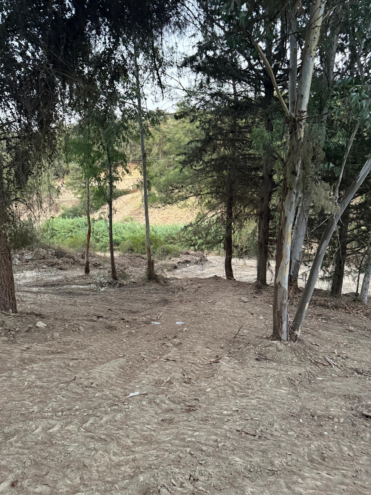 Adana Sarıçam Mustafalar Mahallesi Yeşil Vadi'de  2000m2 