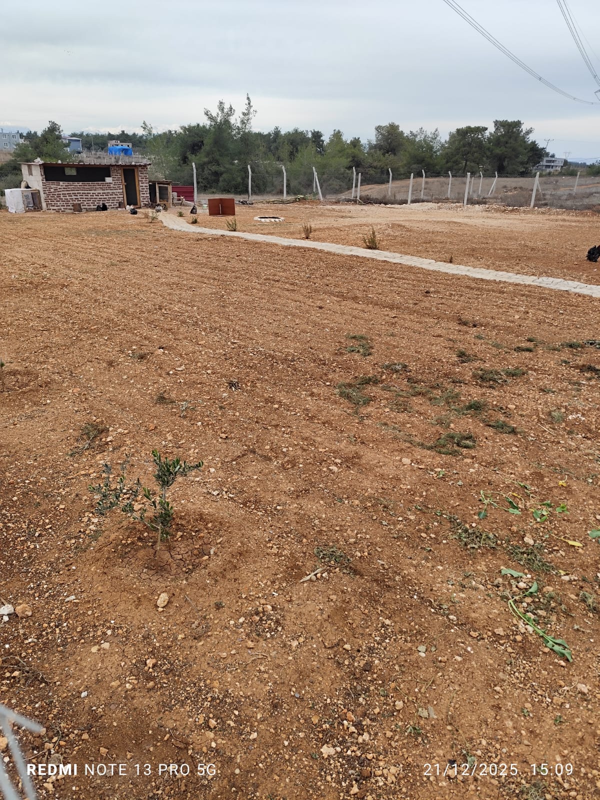 Adana Sarıçam Mustafalar Mahallesinde 1000m2 Arsa