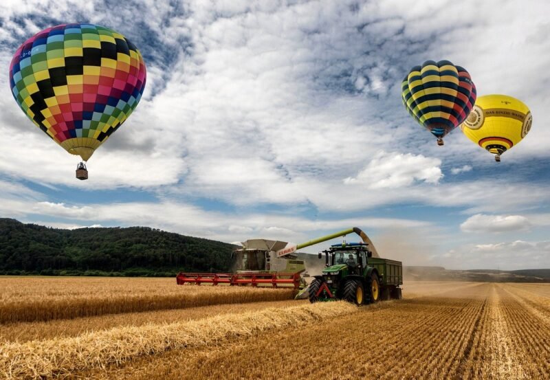 tractor, farming, weizenfeld