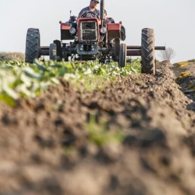 A farmer operates a vintage tractor in a rural field during a sunny day, preparing the soil for cultivation.