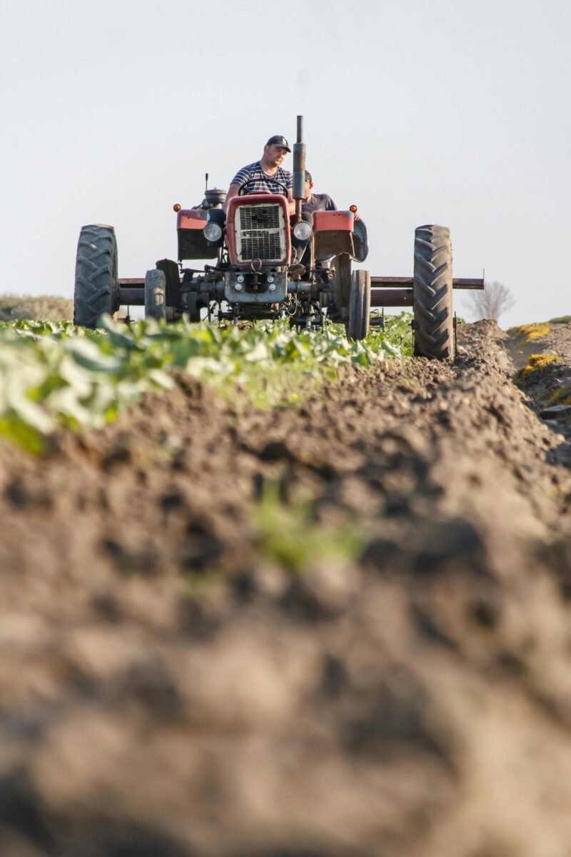A farmer operates a vintage tractor in a rural field during a sunny day, preparing the soil for cultivation.
