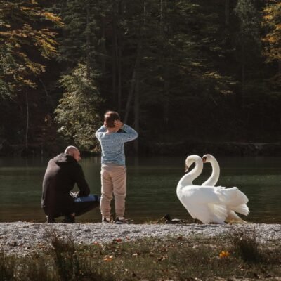 A serene scene of a father and son by a lake in Eisenerz, Styria, with graceful swans.